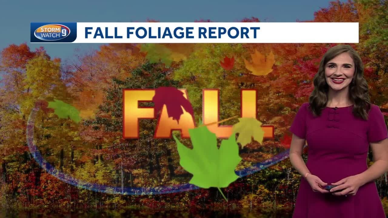 Pocono Outdoors Fall Foliage Report #3 October 26, 2021 – Halloween Fall  Foliage Colors Spook Around! - Pocono Bike Rental